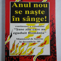 Anul nou se naste in sange! - PLEDOARIE PENTRU ISTORIE 2