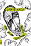 Cum mi-am distrus viata | Dan Stanca, 2019, cartea romaneasca