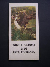 Muzeul Satului si de Arta Populara - Nicolae Ungureanu foto