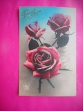 HOPCT 12273 TRANDAFIRI -FLORI-FRANTA -FELICITARE VECHE ---EUROPA - -ROMANTICA- -CIRCULATA