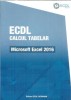 ECDL - calcul tabelar - Microsoft Excel 2016 C
