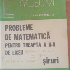 PROBLEME DE MATEMATICA PENTRU TREAPTA A II-A DE LICEU - SIRURI - D. M. BATINETU