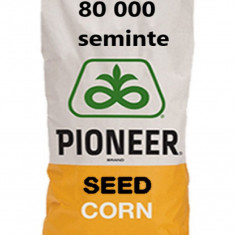 Seminte Porumb Pioneer P9241 FAO 330 sac 80 000 boabe