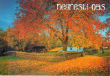 Carte postala CP SM030 Negresti Oas - Muzeul satului - necirculata