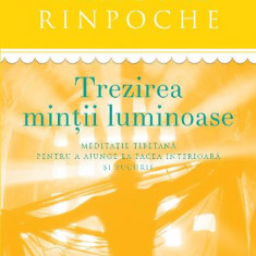 Trezirea mintii luminoase