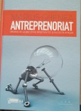 ANTREPRENORIAT - Marius Ghenea