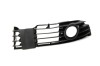 Grila ventilatie, bara protectie VW PASSAT (3B3) (2000 - 2005) BLIC 6502-07-9539994P
