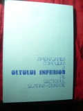 Amenajarea complexa a Oltului Inferior pe sector Slatina-Dunare , 92pag -1990