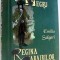 CORSARUL NEGRU de EMILIO SALGARI , 2011