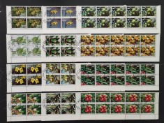 INS.COMORE-10 X 12 V.-FLORA FRUCTE-Obliterate.-ICO 186B foto