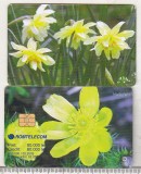 Bnk card Cartela telefonica - 2003 80000 lei Flori 7
