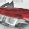 VALEO 043859 ORIGINAL PART Lampa spate