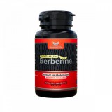 Premium Berberine 600mg, 60 capsule, Boost4Life