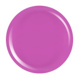 Cumpara ieftin Gel Colorat UV PigmentPro LUXORISE - Flavorful Fuchsia, 5ml