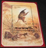 Coreea de Nord 1992 &ndash; Maimuțe (Macaca) Coliță CTO -A61