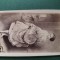 fotografie galerie historique ,dimensiuni 11 cm x 6 cm, anii 1900, ,DOAMNA IN OGLINDA,COLOMBINE