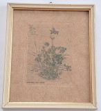 Gravura &bdquo;STAHLSTICH NACH D&Uuml;RER&rdquo;