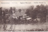 Sighetul Marmatiei. Gradina Publica (necirculata)