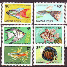 UNGARIA 1962-Pesti-Serie completa de 10 5imbre nestampilate MNH