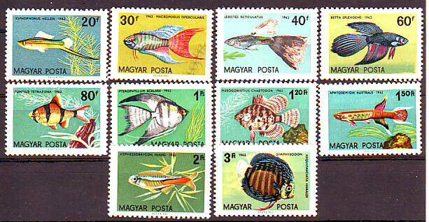 UNGARIA 1962-Pesti-Serie completa de 10 5imbre nestampilate MNH