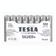 Set 24 baterii alkaline AAA LR03 F24 TESLA SILVER 1.5 V