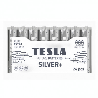 Set 24 baterii alkaline AAA LR03 F24 TESLA SILVER 1.5 V foto
