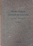 Carte Anatomie des Menschen, Volum 5, Autor Fr. Kopsch, Limba Germana