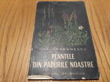 PLANTELE DIN PADURILE NOASTRE - Ion Serbanescu -1959, 310 p.+ XXX planse, Alta editura