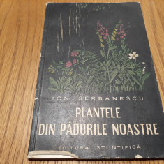 PLANTELE DIN PADURILE NOASTRE - Ion Serbanescu -1959, 310 p.+ XXX planse