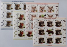 ROMANIA 2012 Pui de animale salbatice - Minicoli 8 timbre MNH** LP 1960 d foto