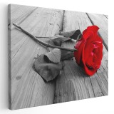 Tablou trandafir rosu Tablou canvas pe panza CU RAMA 60x90 cm