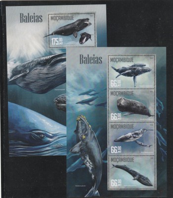 Mozambic 2016-Fauna,Pesti,Balene,colita si bloc 4 valori,MNH,Mi,Bl,1131,8454-7KB foto