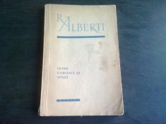 RAFAEL ALBERTI-INTRE GAROAFA SI SPADA, E.S.P.L.A.,BUCURESTI foto