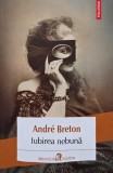 Iubirea nebuna - Andre Breton (cateva insemnari)