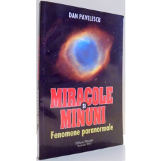 MIRACOLE SI MINUNI de DAN PAVELESCU , 2007