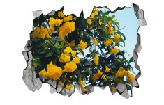Autocolant decorativ, Gaura in perete, Arbori si flori, Multicolor, 83 cm, 300ST-3 foto