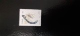 Ciskei-Fauna,pasari-serie completa,nestampilat MNH (C1)