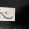 Ciskei-Fauna,pasari-serie completa,nestampilat MNH (C1)