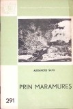 PRIN MARAMURES-ALEXANDRU SAVU-343224