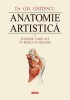 Anatomie artistica, volumul II Formele corpului in repaus si miscare &ndash; Gheorghe Ghitescu