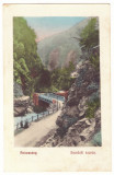 5149 - PETROSANI, Pasul Surduc, Gorj, Romania - old postcard - used - 1912, Circulata, Printata