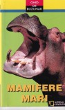 Ghid de buzunar Mamifere mari de Carolinda Hill - Carte zoologie ilustrata romana