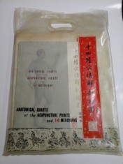 ANATOMICAL CHARTS of the ACUPUNCTURE POINTS and 14 MERIDIANS (Planse ACUPUNCTURA) - SHANGHAI, 1976 foto
