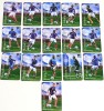 Lot 16 magneti frigider-fotbal - jucatori Nationala de Fotbal a FRANTEI