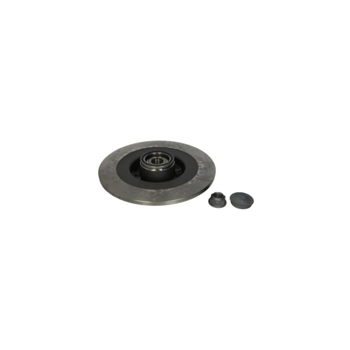 Disc frana RENAULT ESPACE IV JK0 1 ATE 24011101002