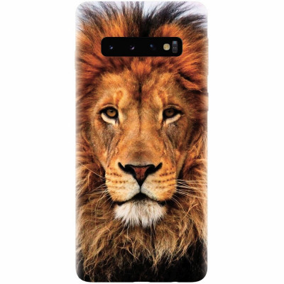 Husa silicon pentru Samsung Galaxy S10, Colorful Lion4 foto