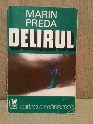 DELIRUL-MARIN PREDA foto