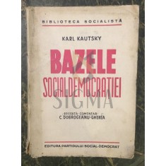 BAZELE SOCIAL-DEMOCRATIEI