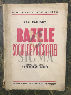 BAZELE SOCIAL-DEMOCRATIEI foto