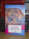 JESS WALTER - FRUMOASELE RUINE ( ROMAN ) , 2014 *, Polirom